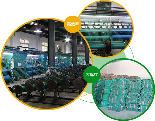 深圳市荔枝视频免费观看版最新塑胶有限公司